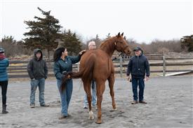 LR-2025-03-15 Retreat-0797